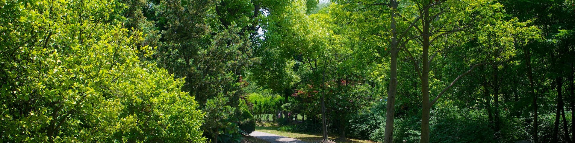 Century Park which includes a garden