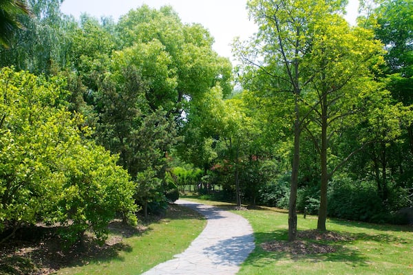 Parc du centenaire mettant en vedette jardin