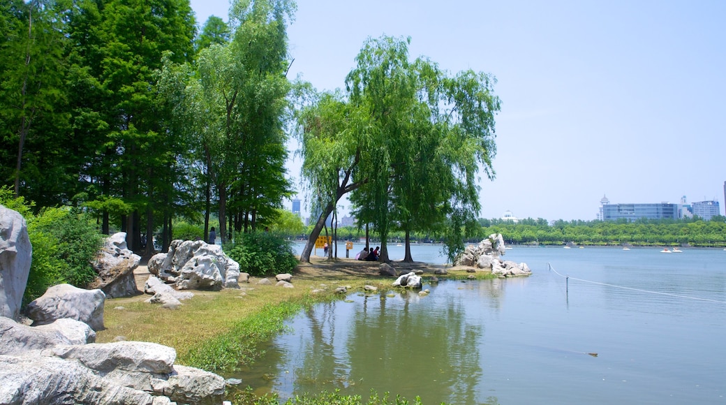 Century Park showing a river or creek and a garden