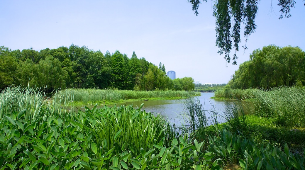 Century Park toont een rivier of beek en een park