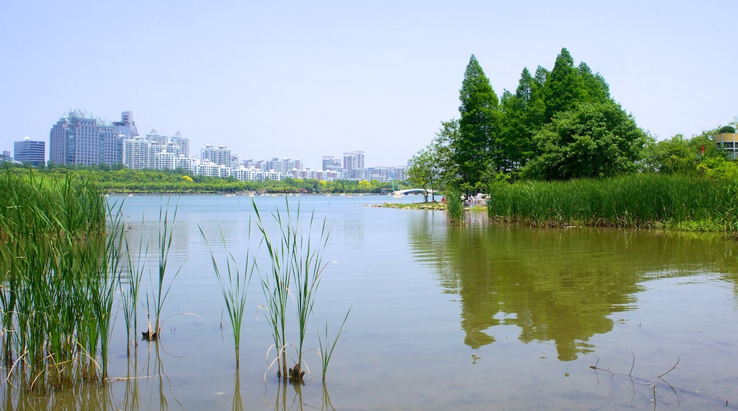 Century Park which includes a river or creek