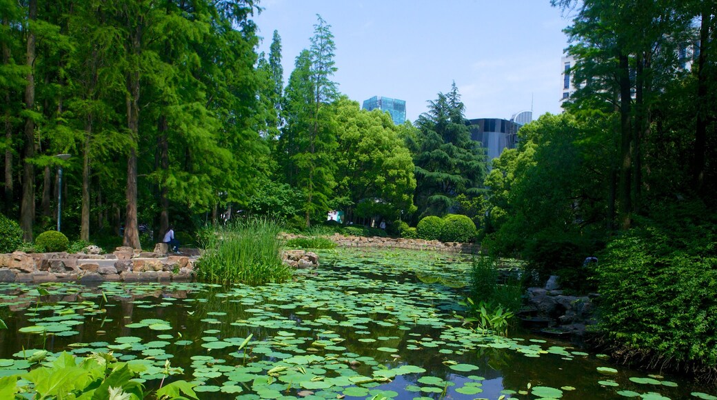 Museo MOCA de Shanghái mostrando un estanque y un jardín