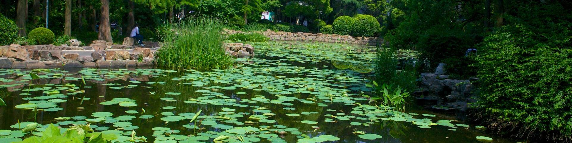 MOCA Shanghai which includes a garden and a pond