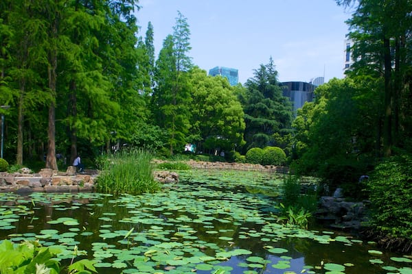 MOCA Shanghai which includes a garden and a pond