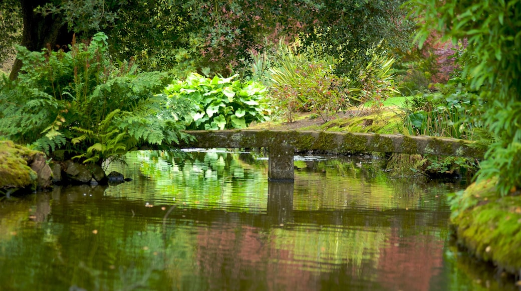 Mount Stewart House and Gardens which includes a bridge, a river or creek and a park