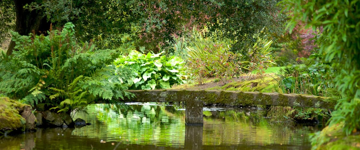 Mount Stewart -talo ja puutarha featuring puisto, silta ja joki tai puro