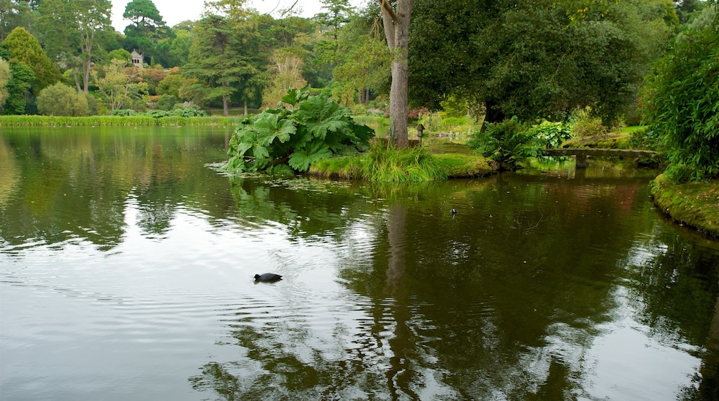 Casa y jardines Mount Stewart mostrando un parque y un lago o laguna