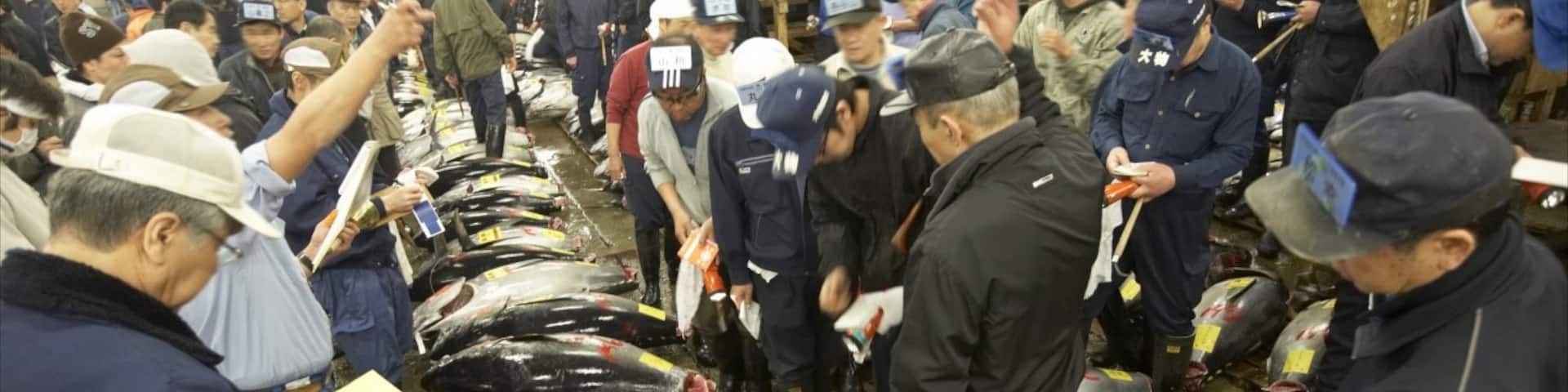 Tsukiji Fish Market showing markets and interior views as well as a large group of people