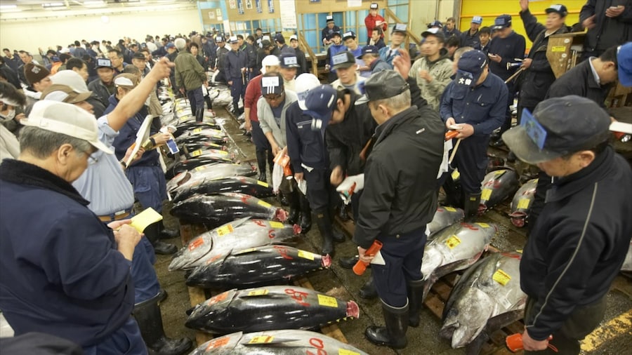 Tsukiji presenterar marknader och interiörer såväl som en stor grupp av människor