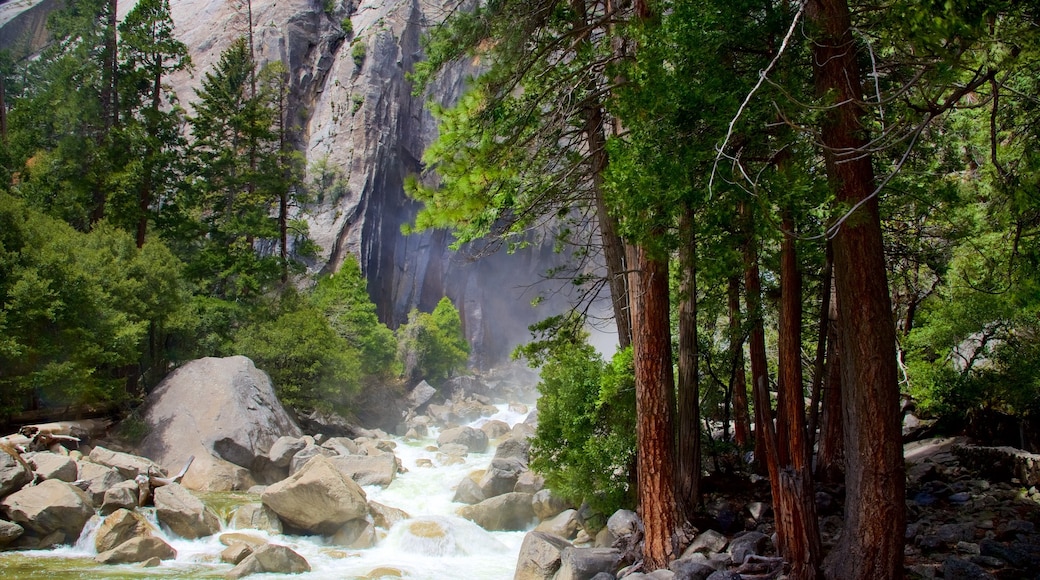 Lower Yosemite Falls