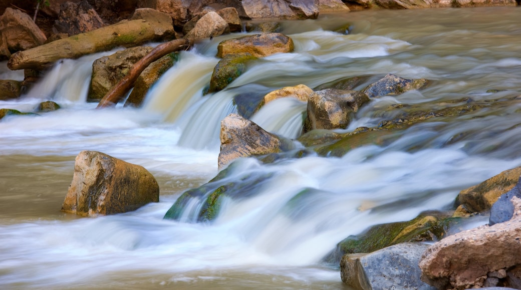 Riverside Walk which includes rapids and a river or creek