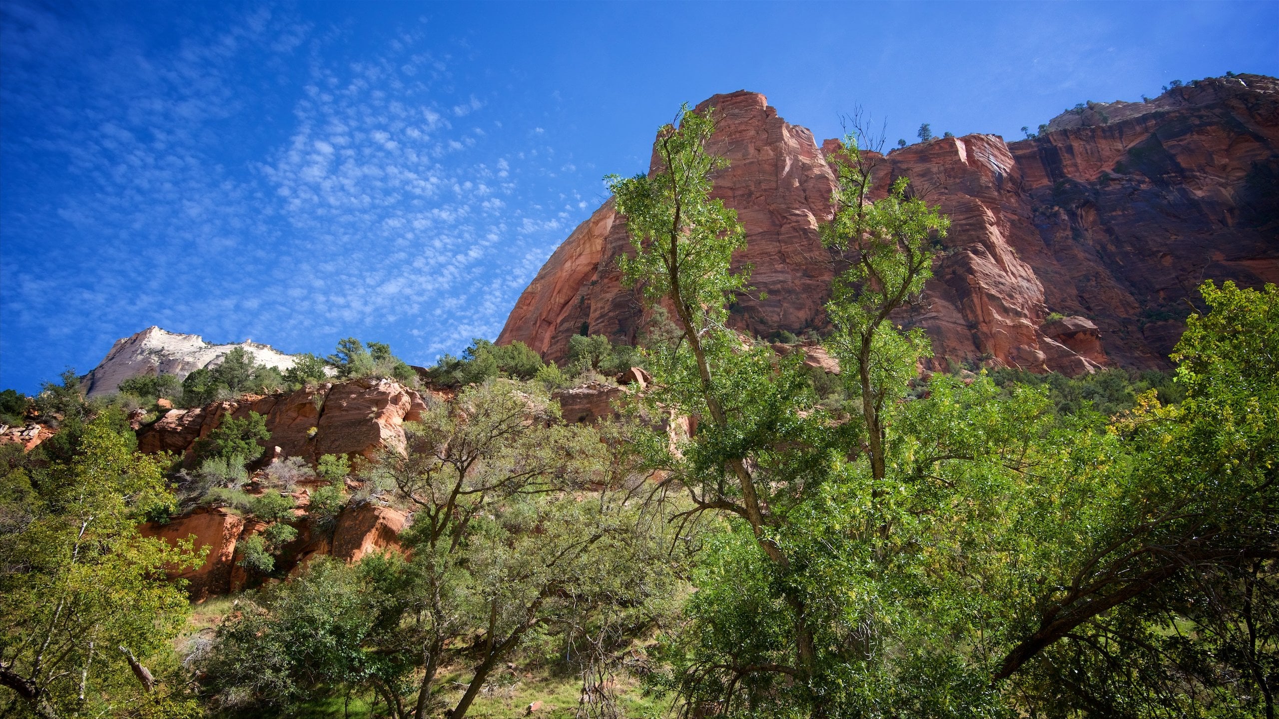 The Grotto Picnic Area Tours - Book Now | Expedia