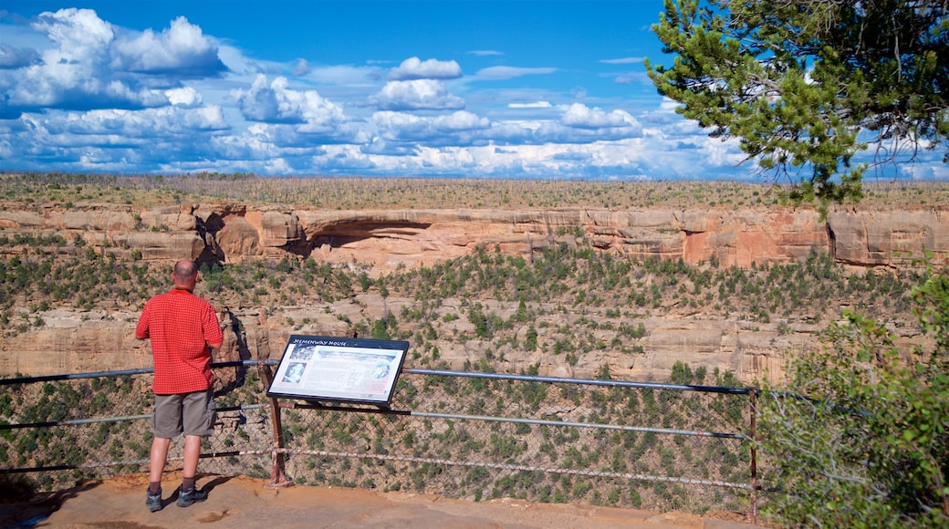 San Juan Skyway showing desert views, views and tranquil scenes