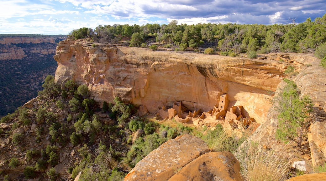 Mesa Verde nationalpark