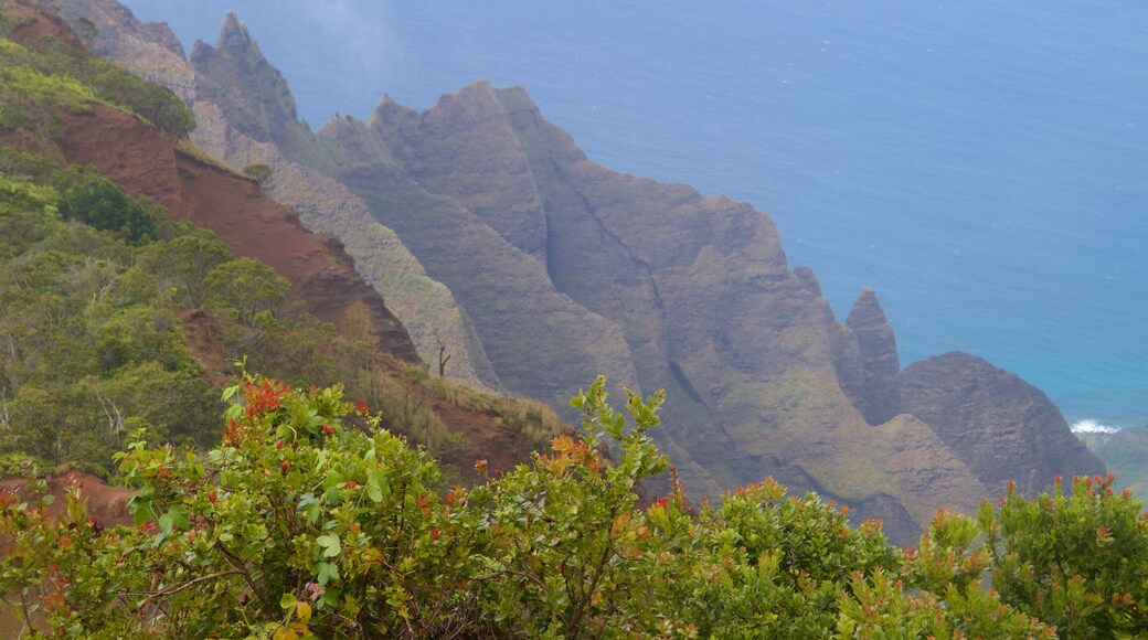 Kalalau Lookout