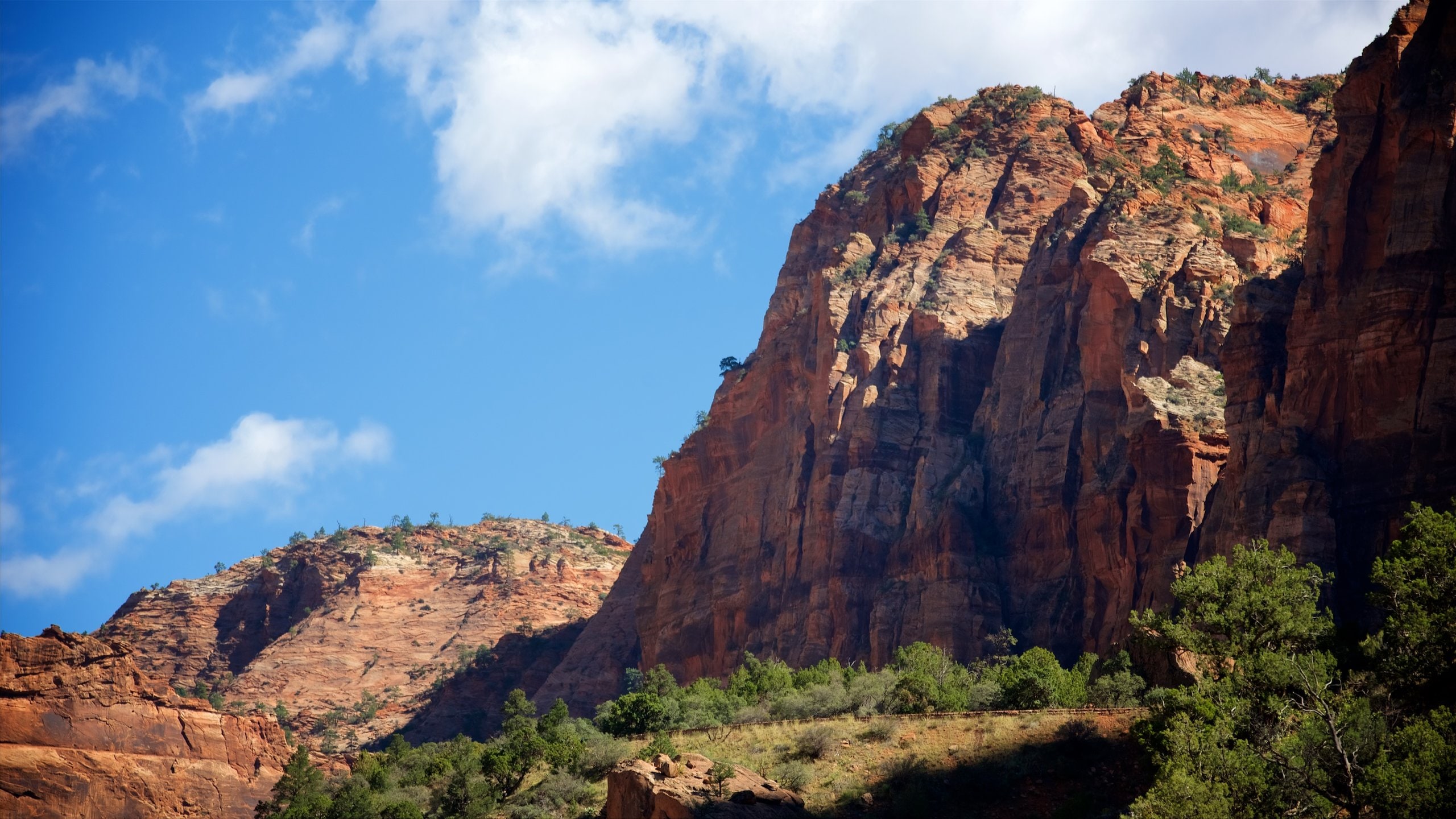 Mount Carmel, UT Vacation Rentals house rentals & more Vrbo