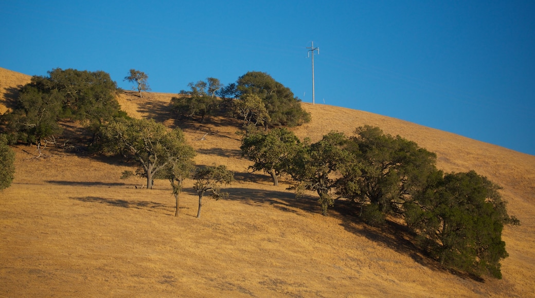 Santa Barbara Wine Country showing tranquil scenes