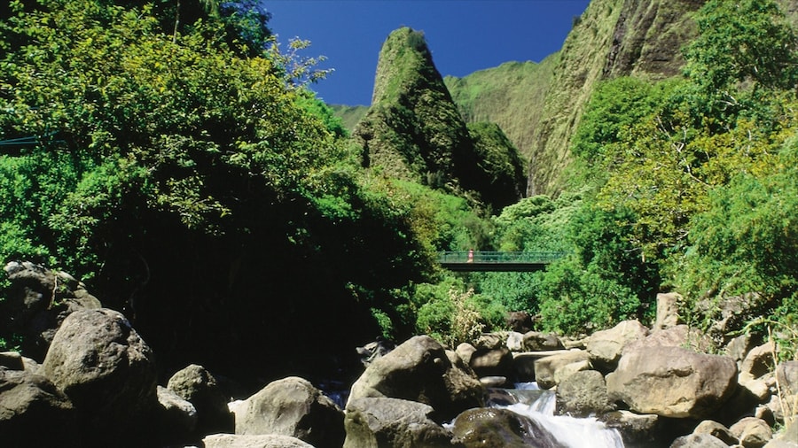 Iao Valley State Park