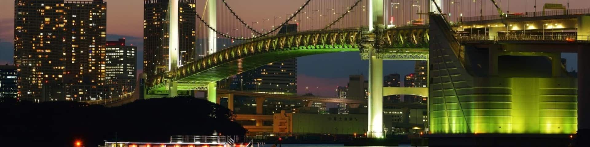 Rainbow Bridge showing a city, general coastal views and night scenes