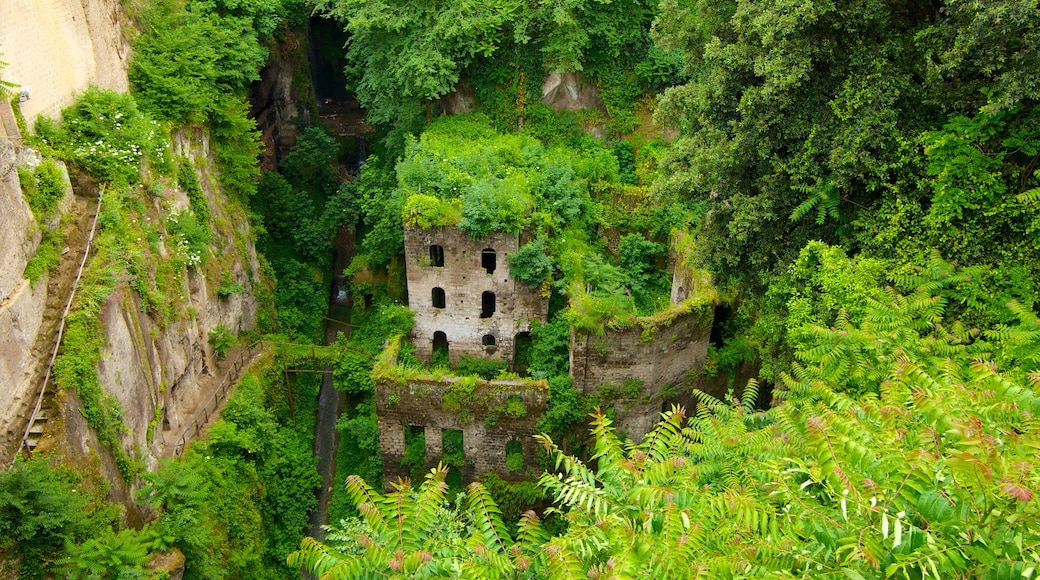 Vallone dei Mulini che include parco, rovine di un edificio e architettura d\'epoca