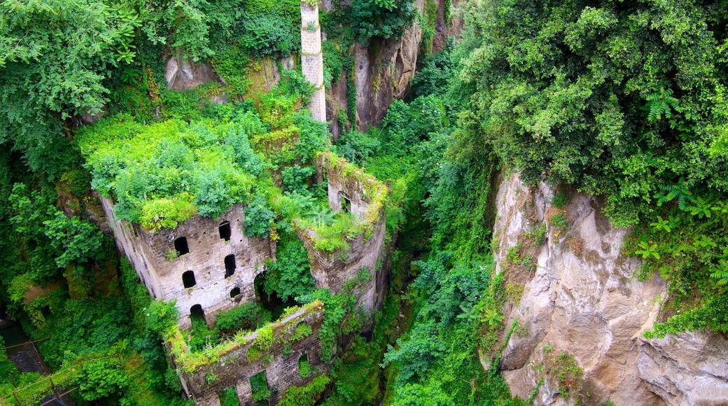 Deep Valley of the Mills which includes tropical scenes, heritage elements and a ruin