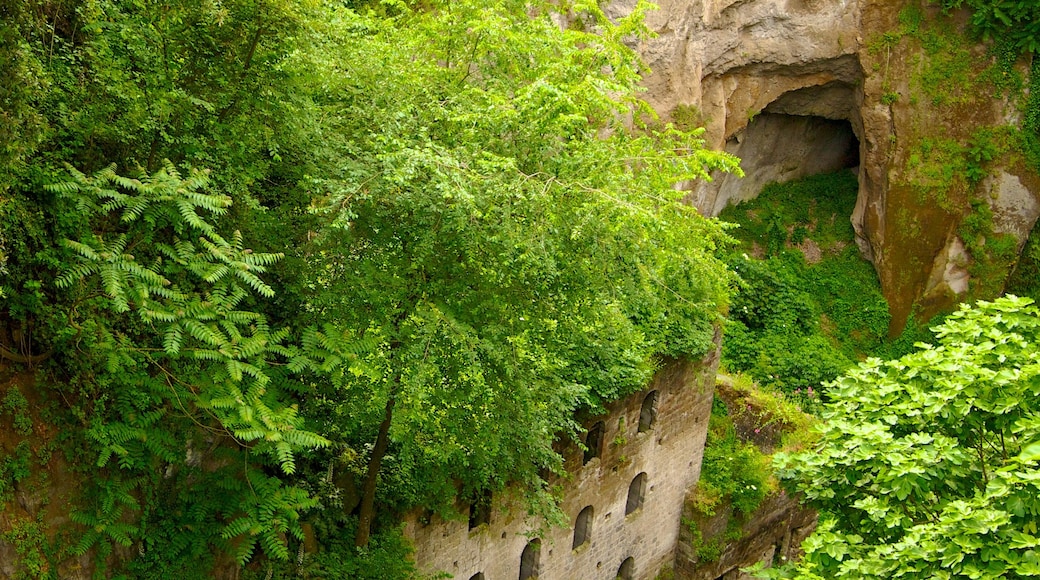 Deep Valley of the Mills toont historisch erfgoed, tropische uitzichten en vervallen gebouwen