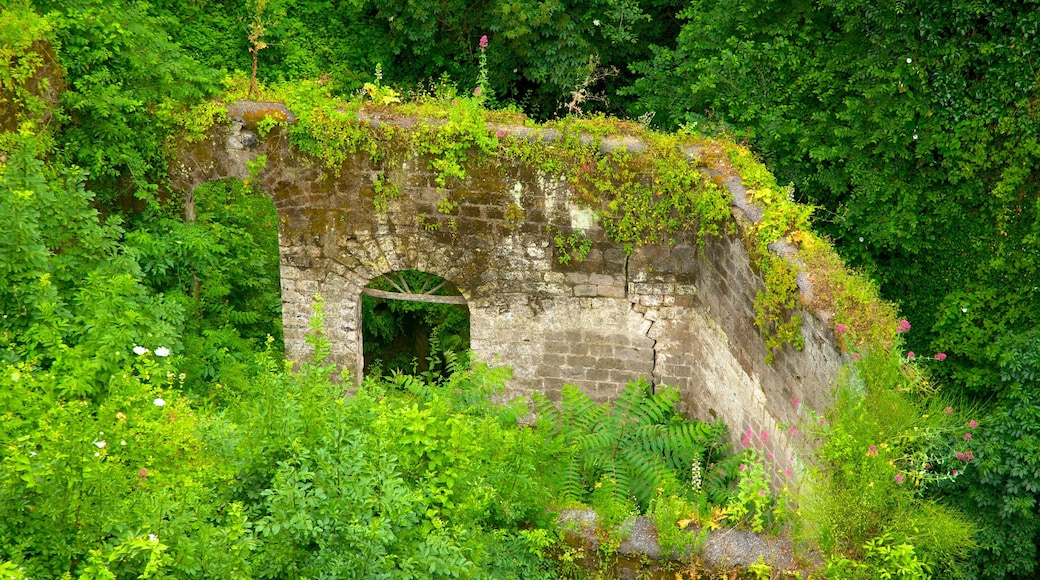 Kvarnarnas dal som inkluderar historiska element, ruiner och tropisk natur