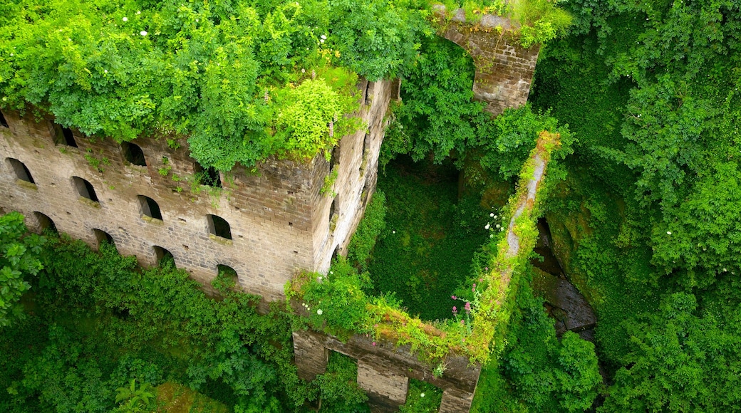 Deep Valley of the Mills showing tropical scenes, heritage elements and a ruin