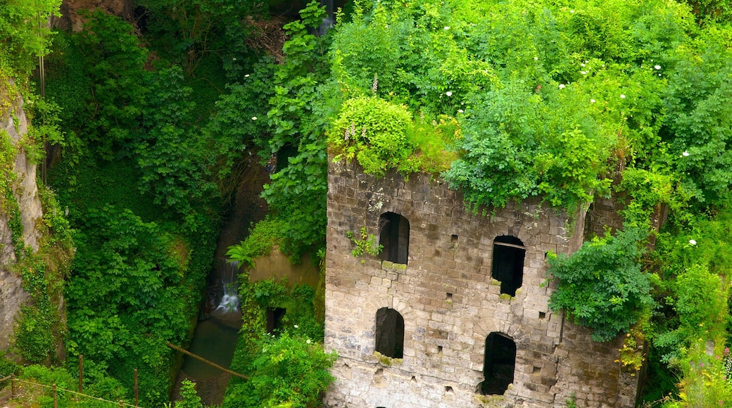 Vallone dei Mulini mostrando paesaggio tropicale, rovine e oggetti d\'epoca