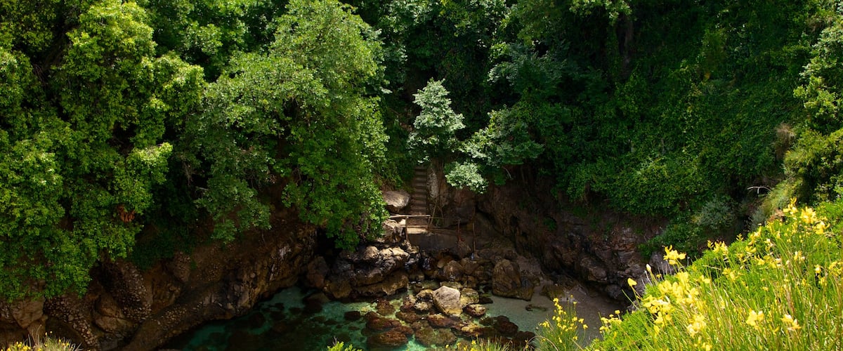 Baños de la Reina Giovanna ofreciendo vistas generales de la costa y escenas forestales