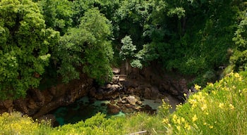 Bagni Regina Giovanna caratteristiche di paesaggio forestale e vista della costa