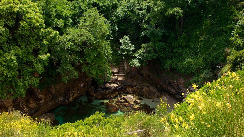 Baths of Queen Giovanna featuring general coastal views and forest scenes