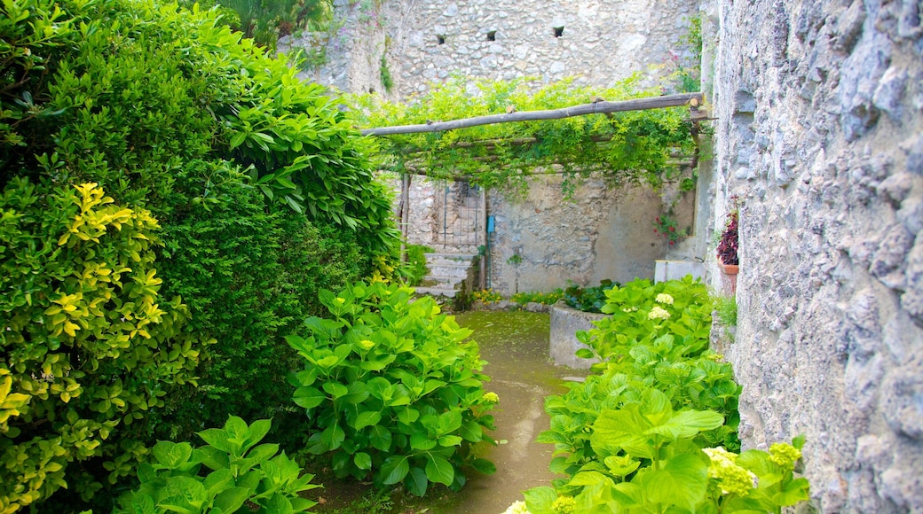 Ravello showing a garden