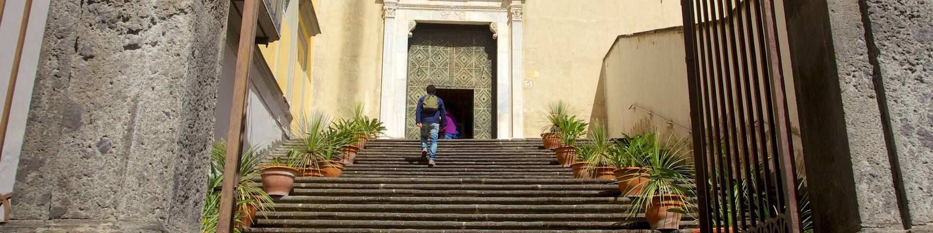 Naples which includes a church or cathedral and religious elements