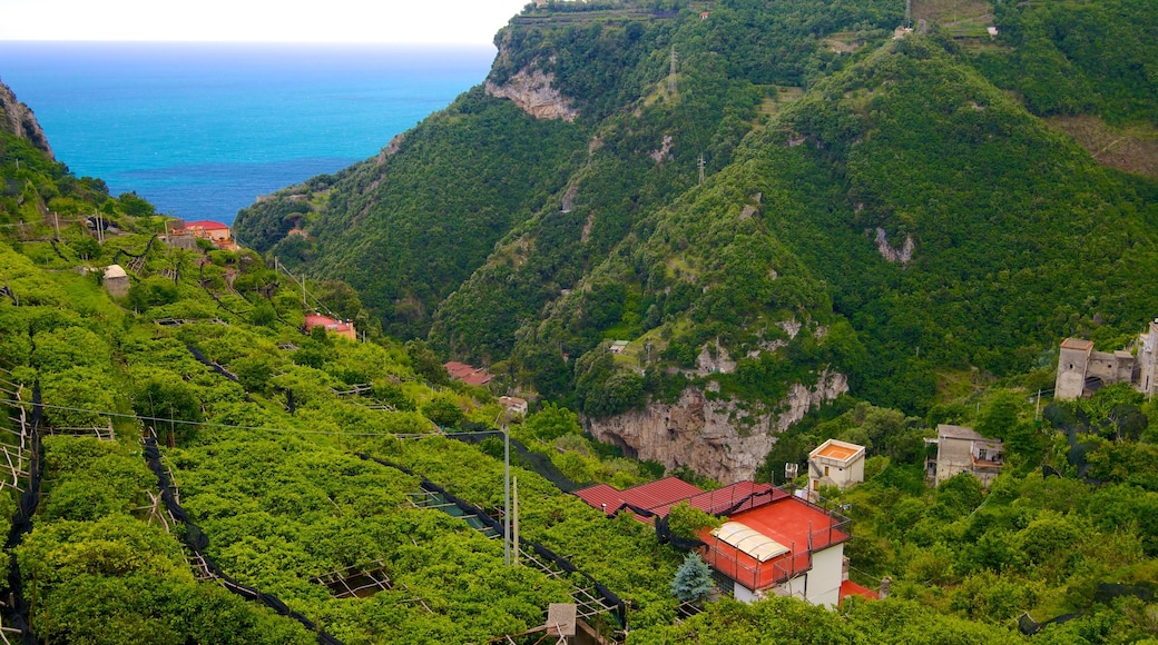 Pontone which includes general coastal views, farmland and mountains