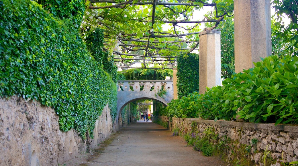 Costa de Amalfi que incluye un parque