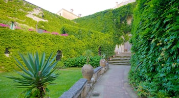 Amalfi-Küste das einen Garten und Stadt