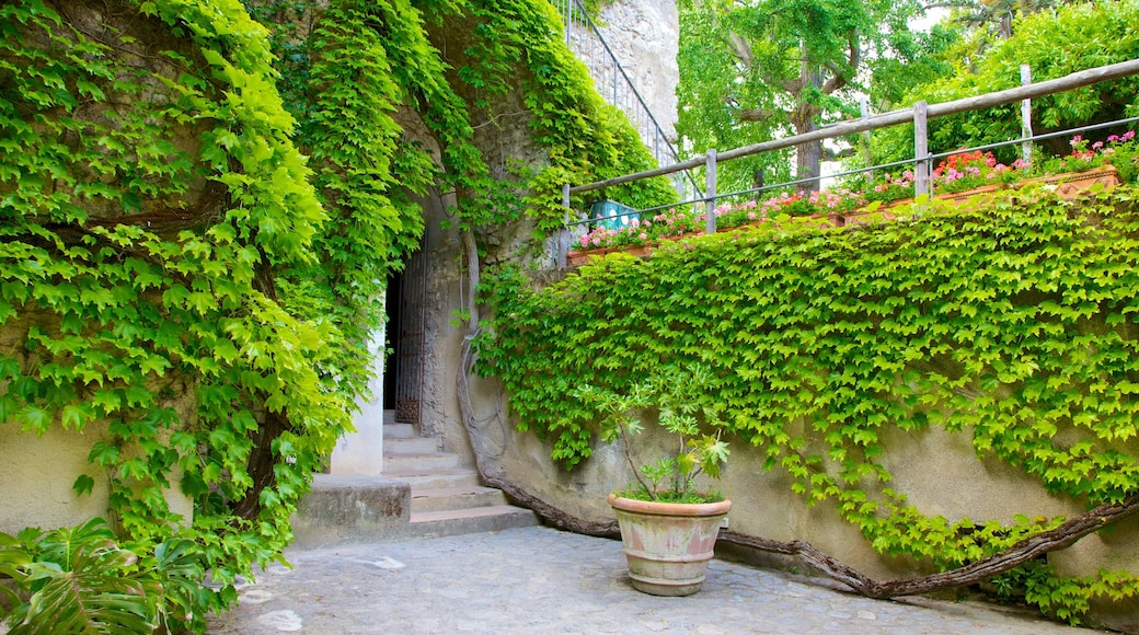 Villa Rufolo showing a garden