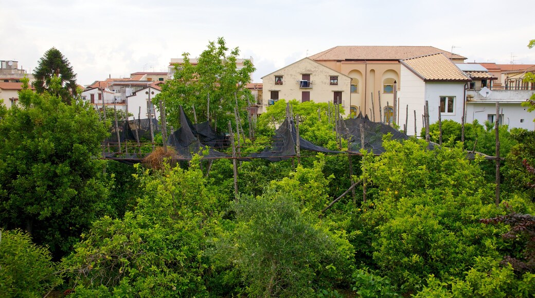 Sorrentokusten som inkluderar en stad och en park