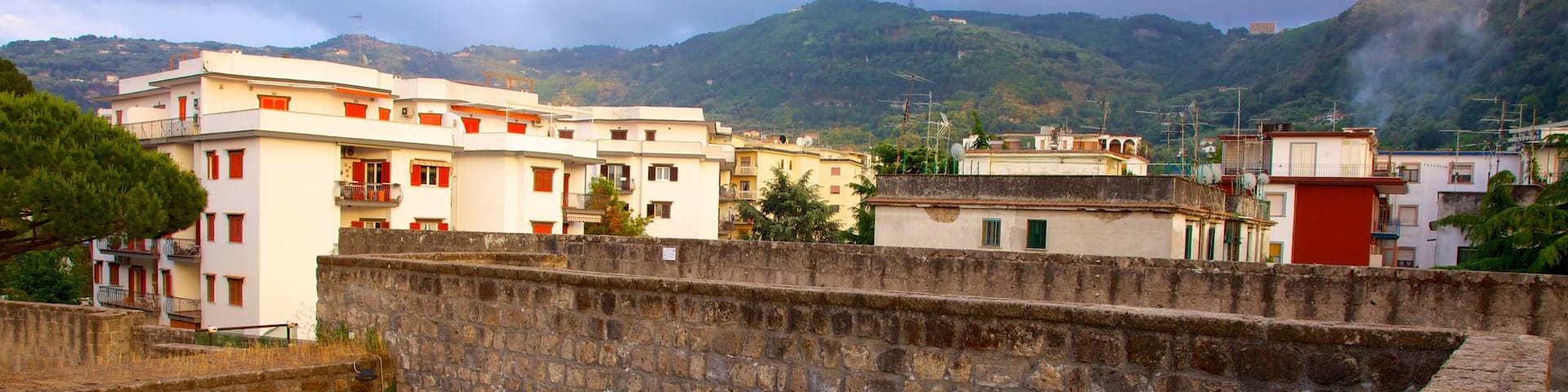 Sorrento Coast showing a city and heritage elements