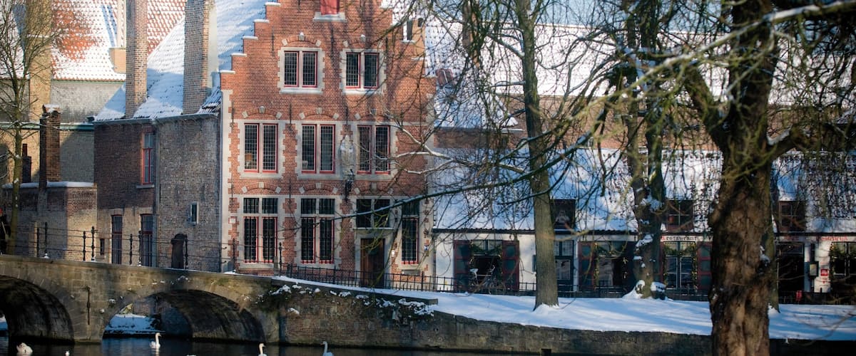 Begijnhof qui includes petite ville ou village et neige