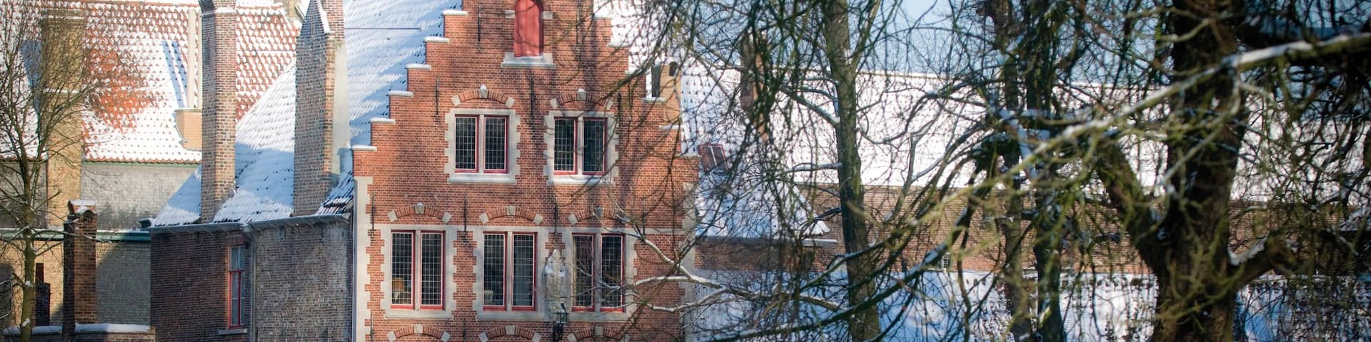 Begijnhof which includes snow and a small town or village