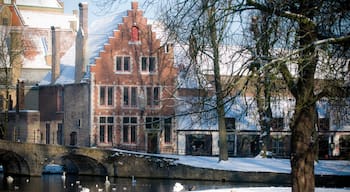 Begijnhof showing a small town or village and snow