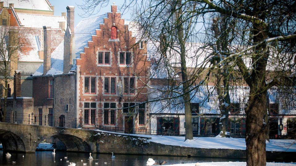 Begijnhof which includes snow and a small town or village