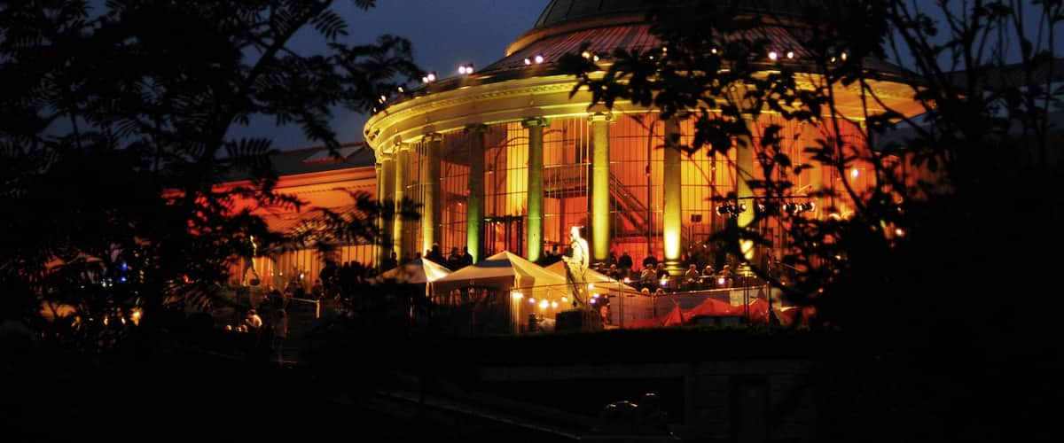 Brussels which includes night scenes and a city