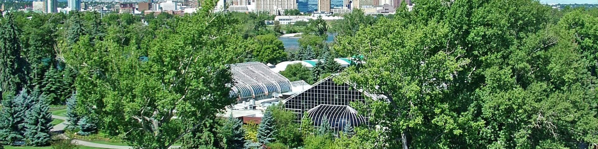 Calgary Zoo which includes a city