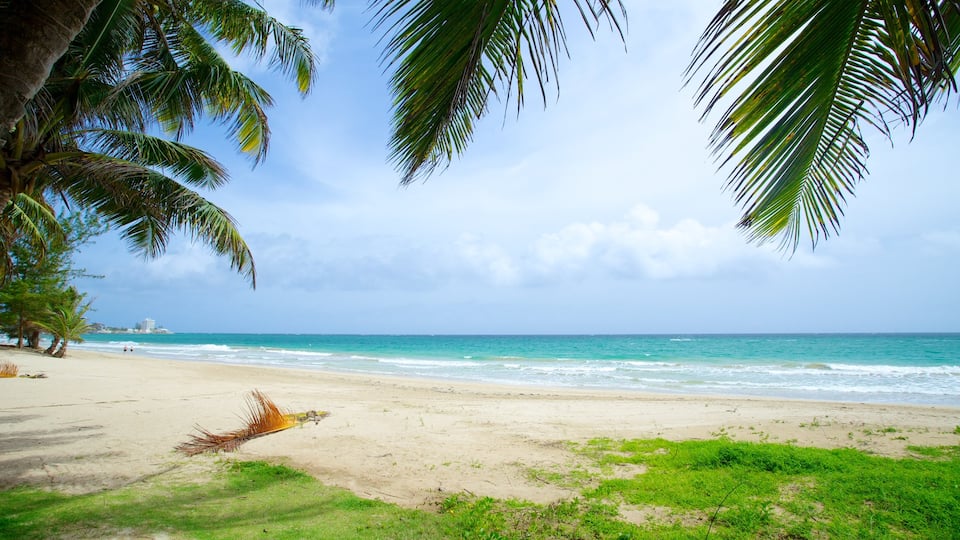 Isla Verde qui includes plage et scènes tropicales