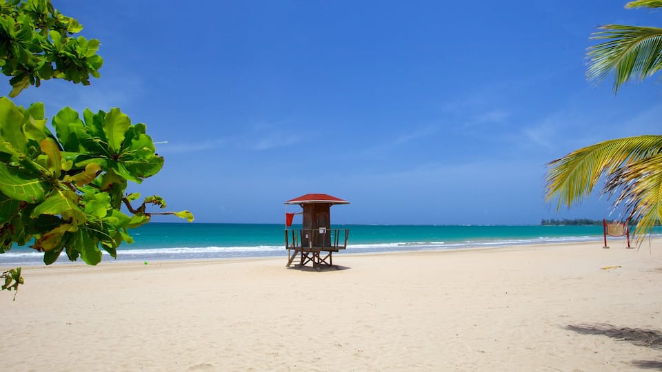 Isla Verde montrant scènes tropicales et plage de sable