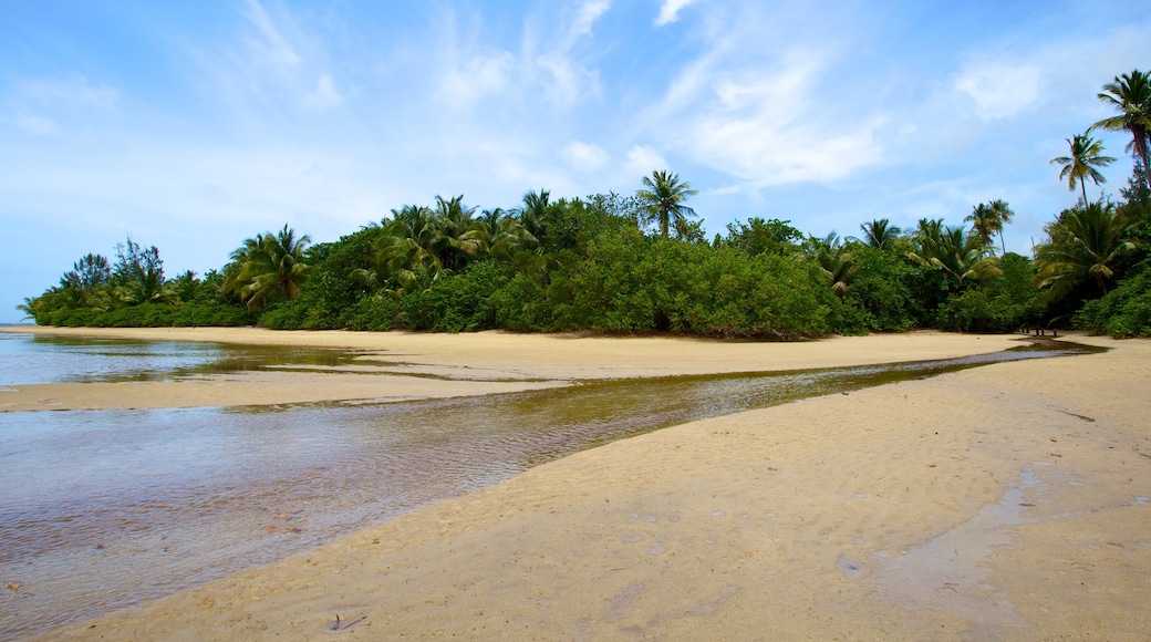 Praia Luquillo que inclui uma praia