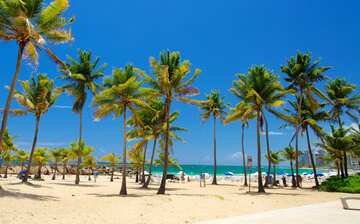 Visita Playa Del Condado En San Juan Expedia Mx Visita Playa Del Condado En San Juan Expedia Mx